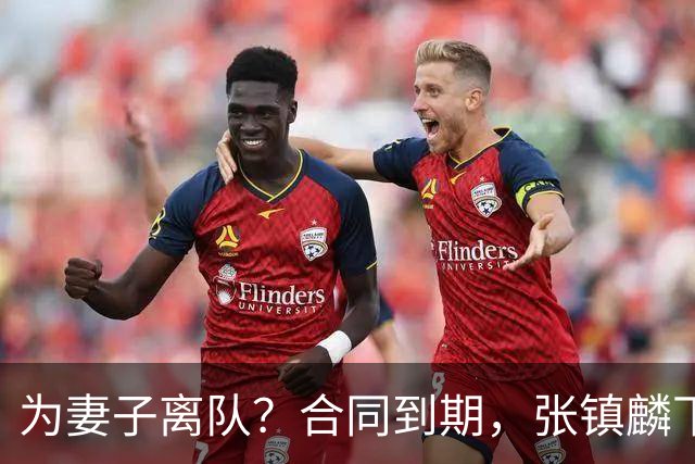 为妻子离队？合同到期，张镇麟下家4选1，广东2队有机会